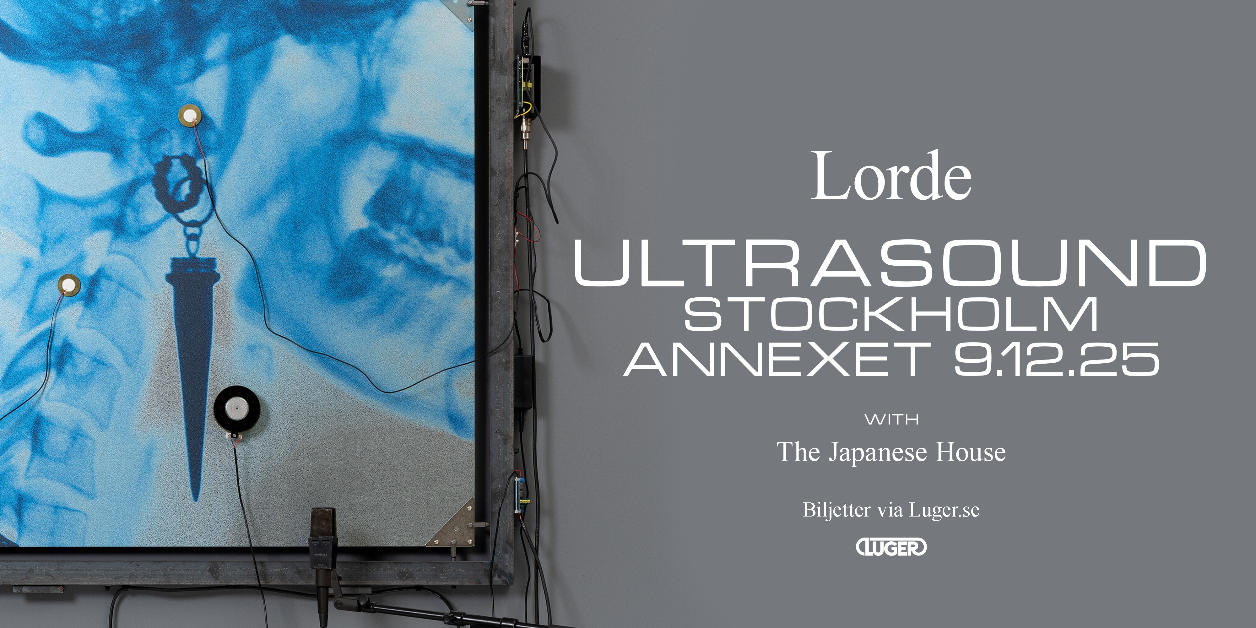 Lorde: Ultrasound