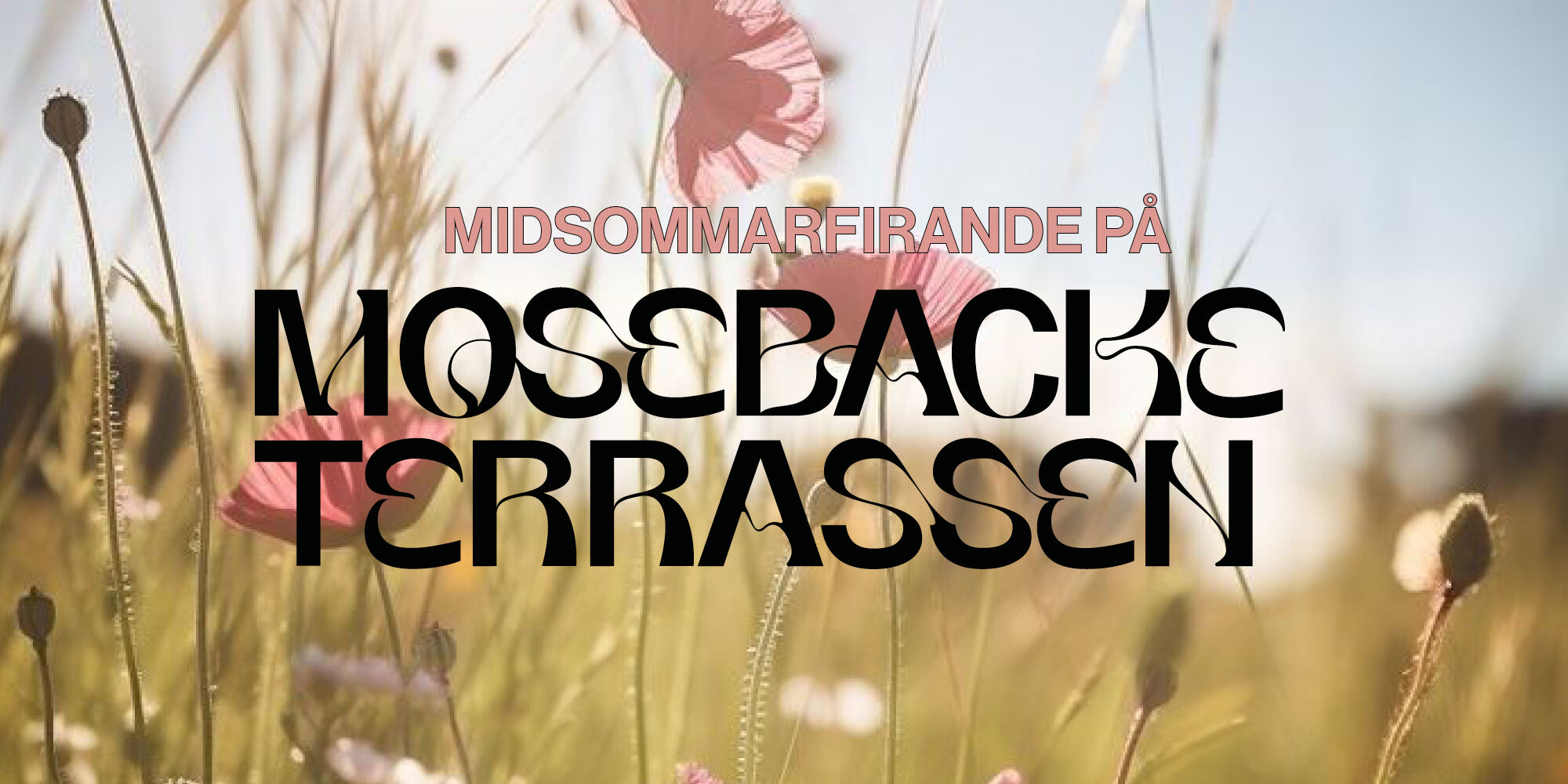Midsommar på Mosebacketerrassen