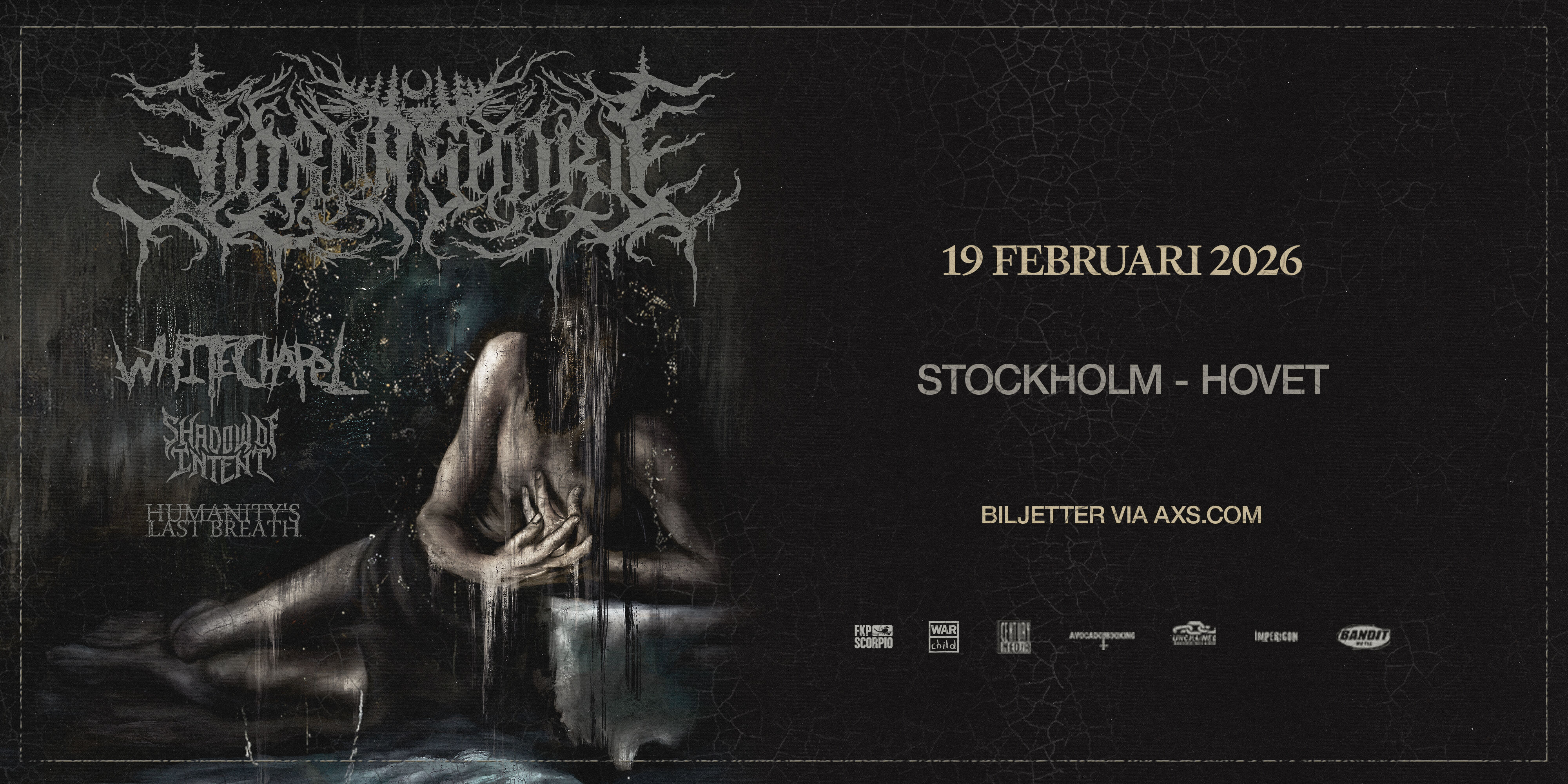 Lorna Shore