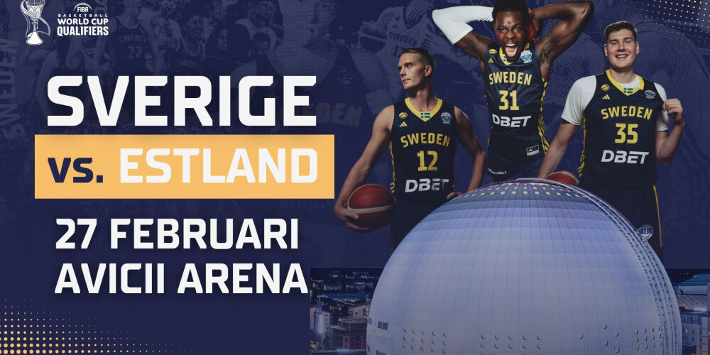 VM-Kval: Sverige – Estland